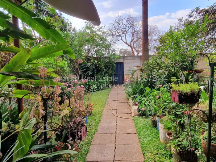 Flat/Apartment for Sale in Avenues, Harare