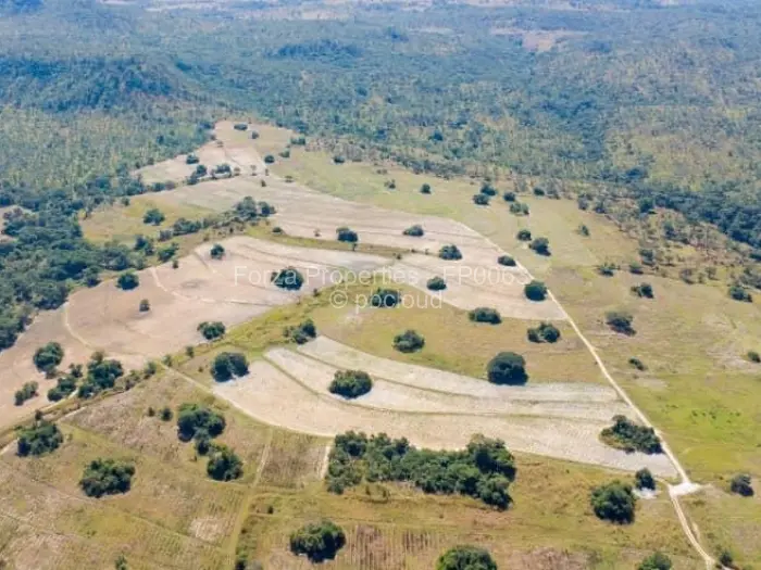 Farm/Plot for Sale in Bindura, Bindura