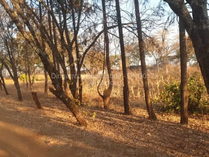 Farm/Plot for Sale in Glen Forest, Harare
