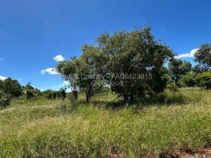 Farm/Plot for Sale in Kadoma, Kadoma