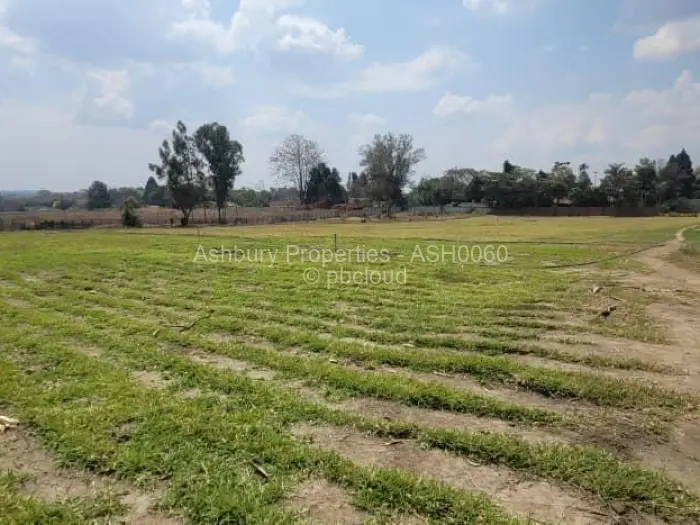 4 Bedroom House for Sale in Chisipite, Harare