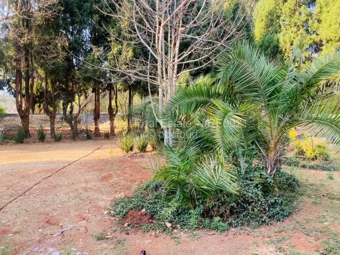 4 Bedroom House for Sale in Philadelphia, Harare