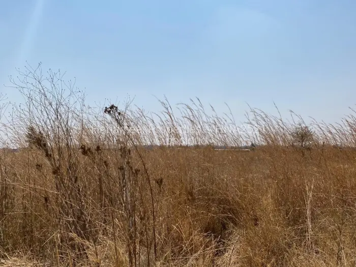 Farm/Plot for Sale in Lynfield, Gweru