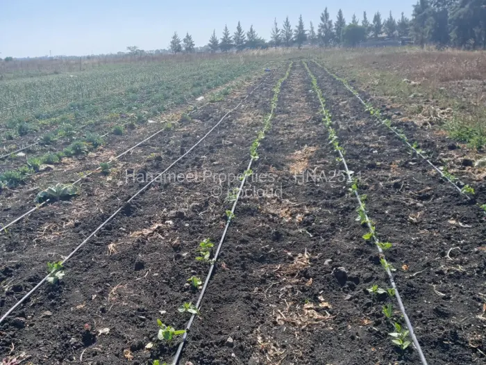 Farm/Plot for Sale in Lynfield, Gweru