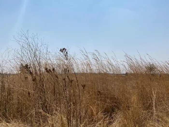 Farm/Plot for Sale in Lynfield, Gweru