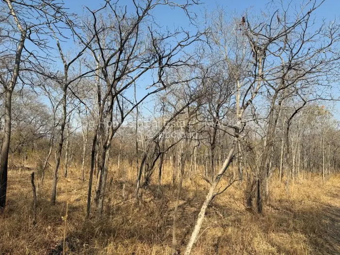 Farm/Plot for Sale in Marondera, Marondera