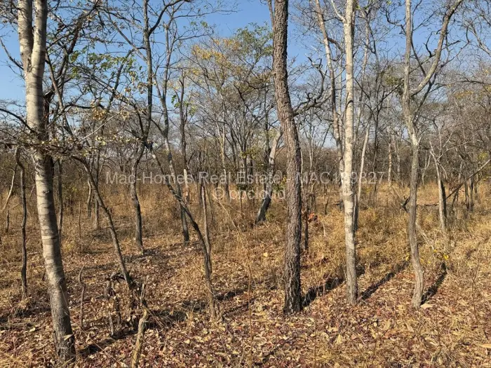 Farm/Plot for Sale in Marondera, Marondera