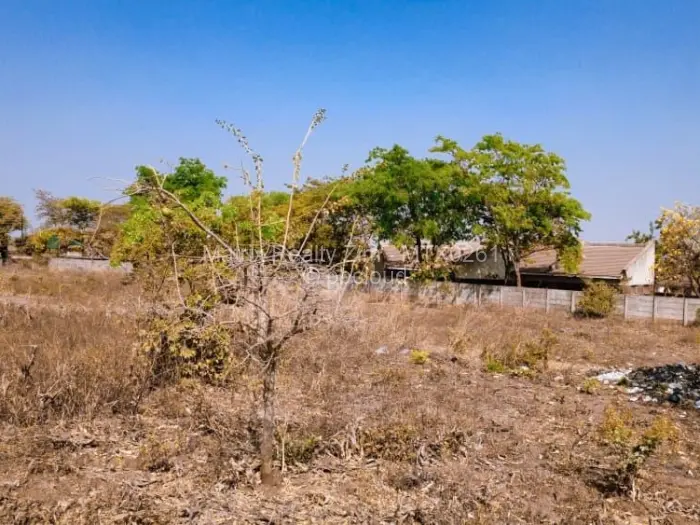 Residential Stand for Sale in Erasmus Park, Ruwa