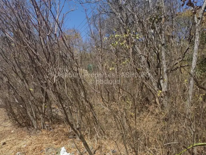 Farm/Plot for Sale in Glen Lorne, Harare