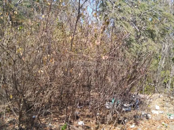 Farm/Plot for Sale in Glen Lorne, Harare