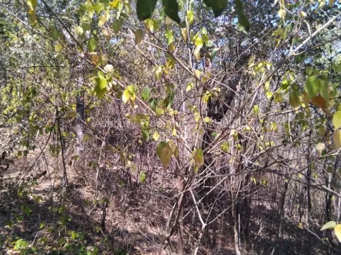 Farm/Plot for Sale in Glen Lorne, Harare