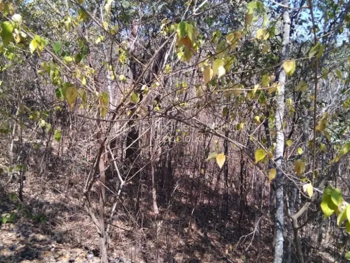 Farm/Plot for Sale in Glen Lorne, Harare