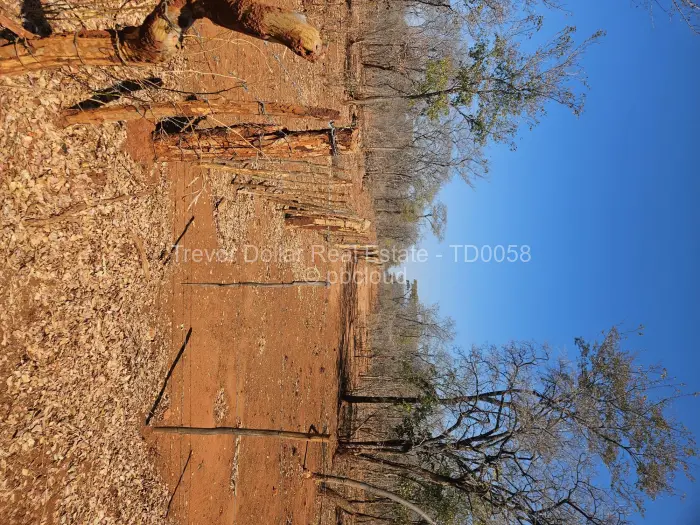 Farm/Plot for Sale in Gweru CBD, Gweru