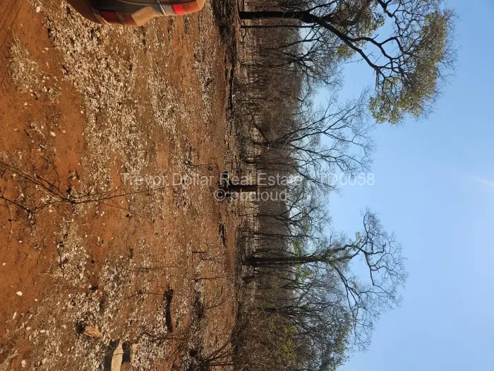 Farm/Plot for Sale in Gweru CBD, Gweru