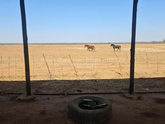 Farm/Plot for Sale in Gweru CBD, Gweru