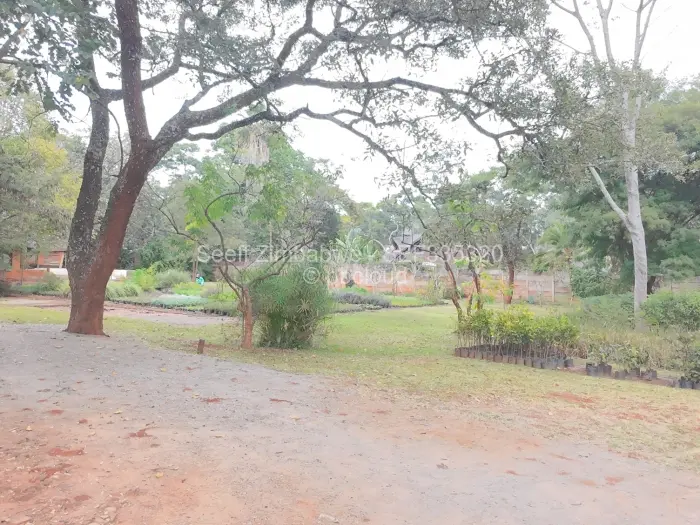 3 Bedroom House for Sale in Greendale, Harare