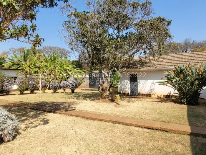 3 Bedroom House to Rent in Alexandra Park