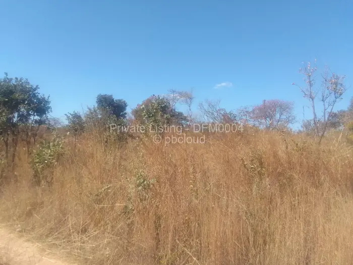 Stand for Sale in Nyabira, Zvimba