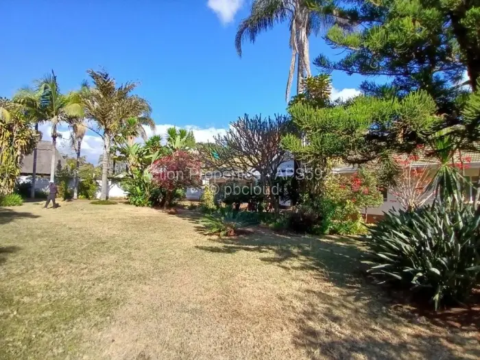 4 Bedroom House to Rent in Alexandra Park