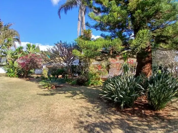 4 Bedroom House to Rent in Alexandra Park