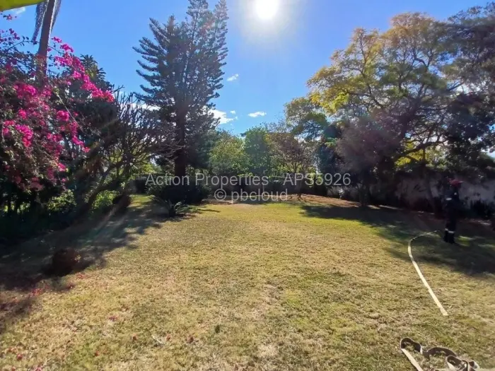 4 Bedroom House to Rent in Alexandra Park