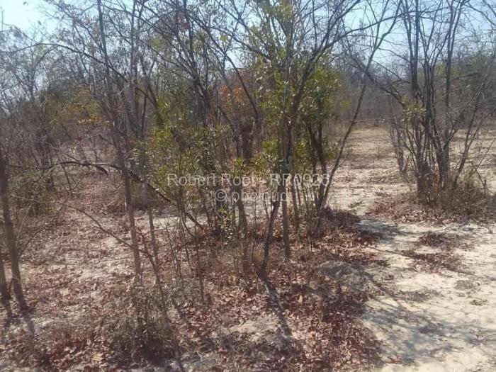 Farm/Plot for Sale in Gokwe, Gokwe
