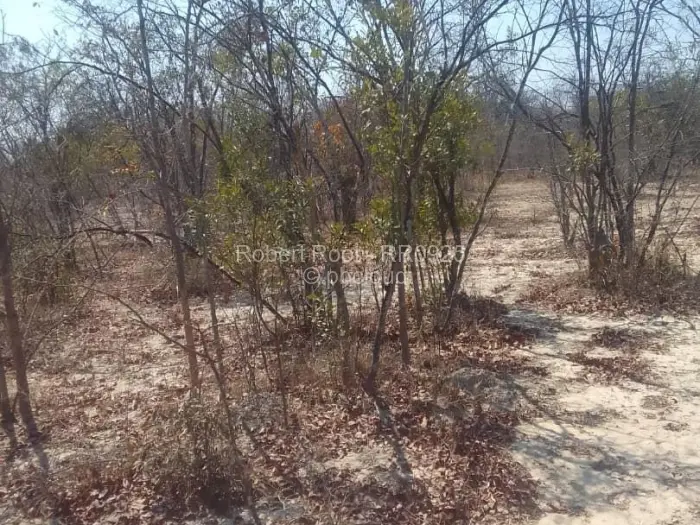 Farm/Plot for Sale in Gokwe, Gokwe