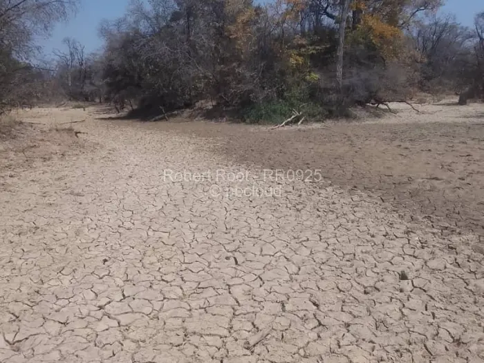 Farm/Plot for Sale in Gokwe, Gokwe