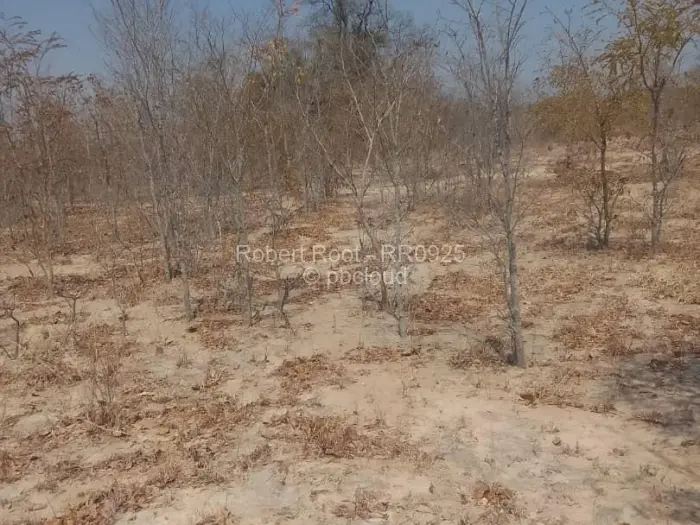 Farm/Plot for Sale in Gokwe, Gokwe