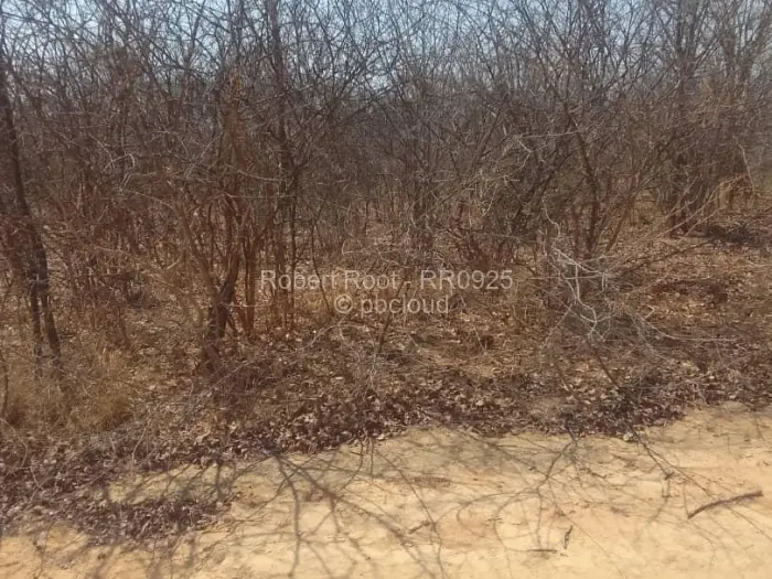 Farm/Plot for Sale in Gokwe, Gokwe