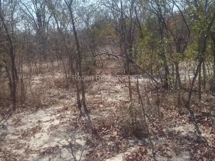 Farm/Plot for Sale in Gokwe, Gokwe