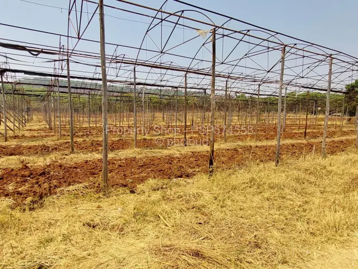 Farm to Rent in Goromonzi, Goromonzi