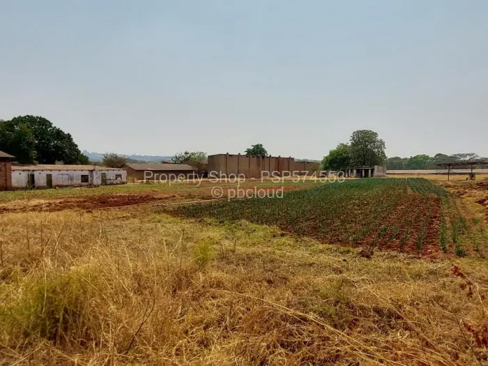 Farm to Rent in Goromonzi, Goromonzi