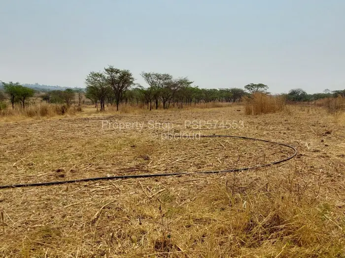Farm to Rent in Goromonzi, Goromonzi