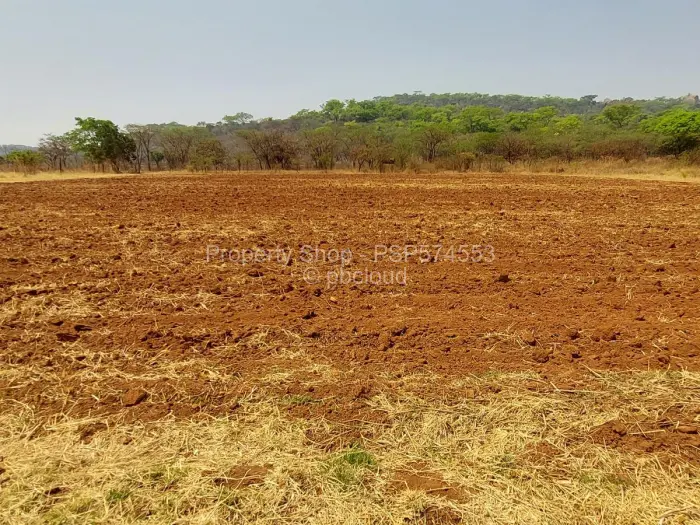 Farm to Rent in Goromonzi, Goromonzi