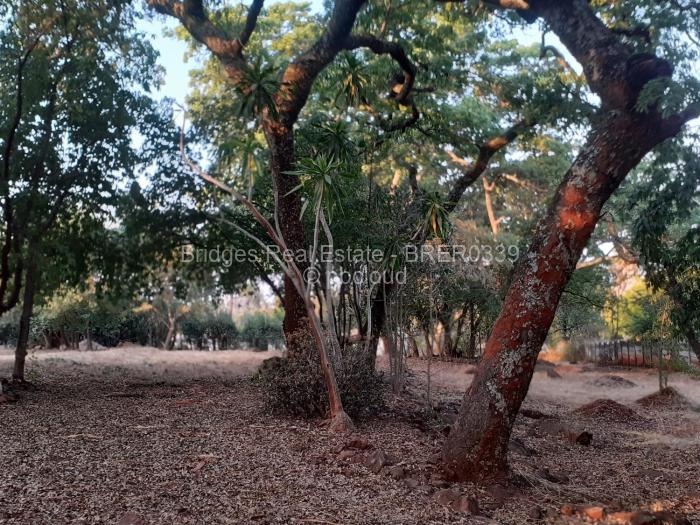 Commercial Stand for Sale in Chisipite, Harare