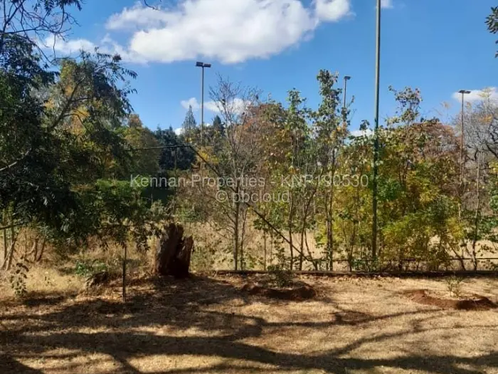 6 Bedroom House for Sale in Avondale, Harare