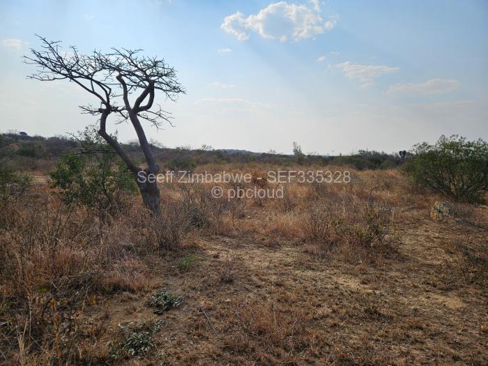 Residential Stand for Sale in Harrisvale, Bulawayo