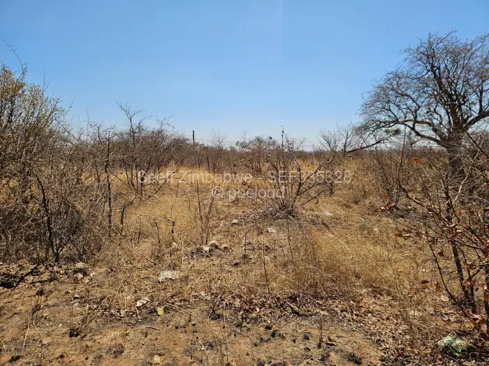 Residential Stand for Sale in Harrisvale, Bulawayo