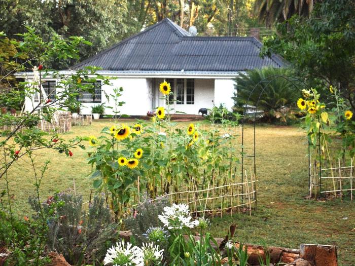 2 Bedroom House to Rent in Highlands, Harare