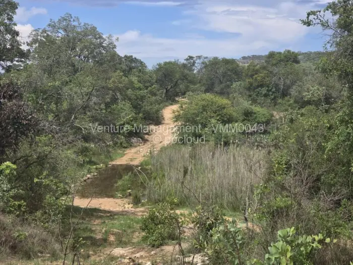 Farm/Plot for Sale in Nyanga, Nyanga