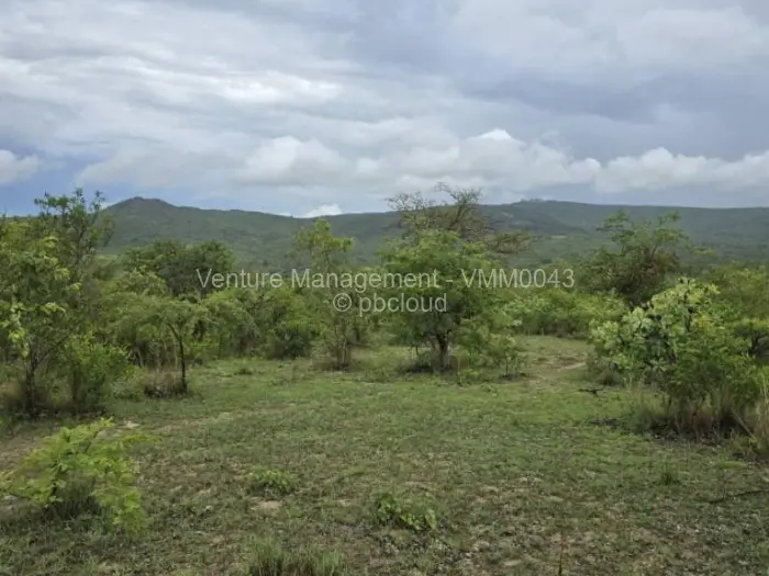 Farm/Plot for Sale in Nyanga, Nyanga