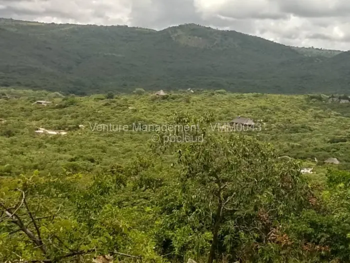 Farm/Plot for Sale in Nyanga, Nyanga