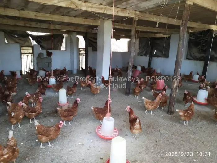 House for Sale in Kensington Byo, Bulawayo