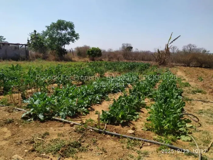 House for Sale in Kensington Byo, Bulawayo