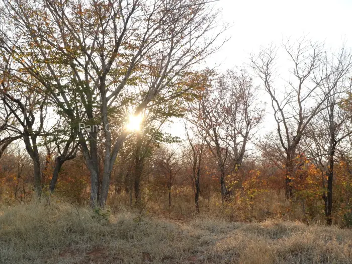 Land for Sale in Victoria Falls, Victoria Falls