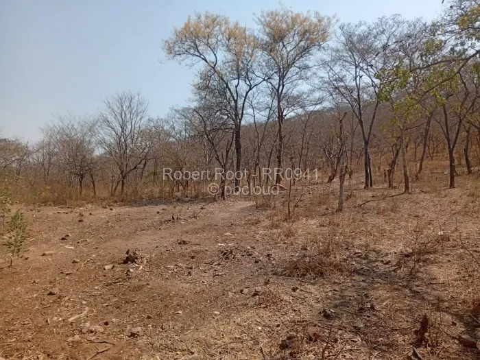 Residential Stand for Sale in Kwekwe, Kwekwe