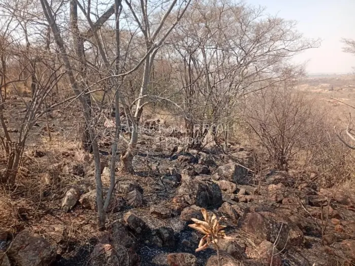 Residential Stand for Sale in Kwekwe, Kwekwe