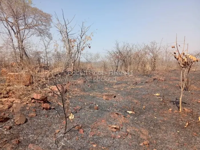 Residential Stand for Sale in Kwekwe, Kwekwe