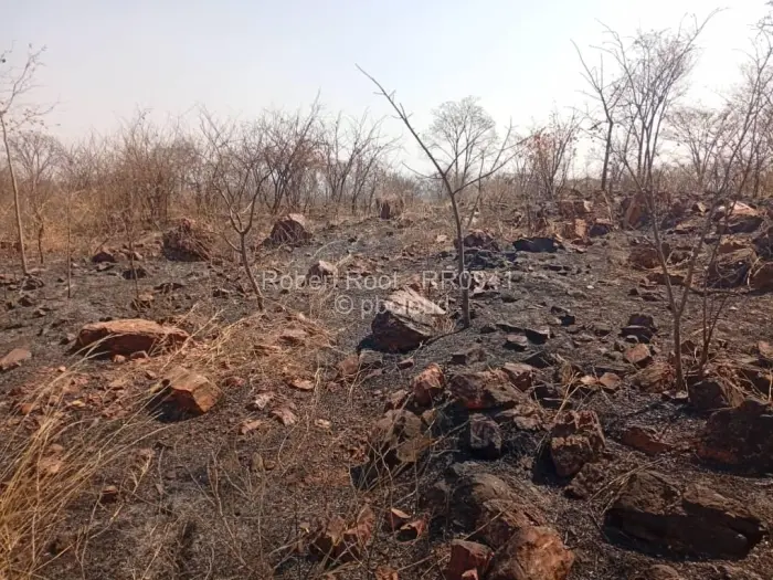 Residential Stand for Sale in Kwekwe, Kwekwe